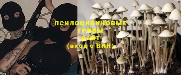 ешки Балахна